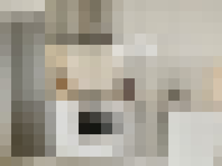  / #14