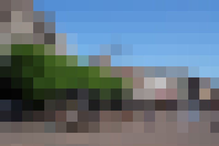  / #19