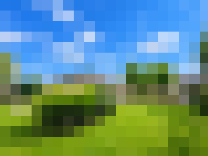  / #7