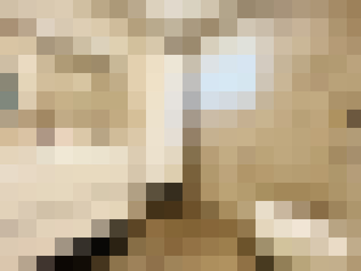  / #15