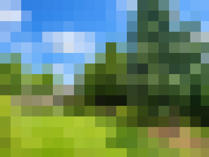  / #6