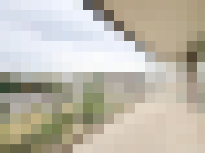  / #18