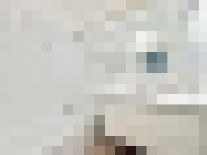  / #14