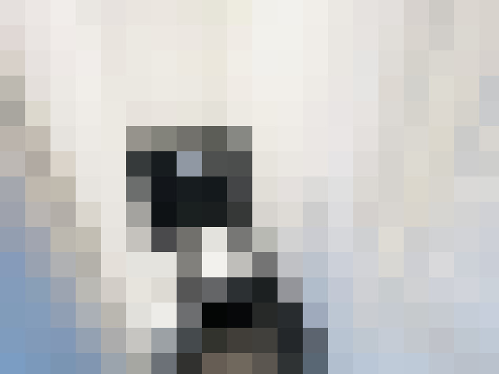  / #13