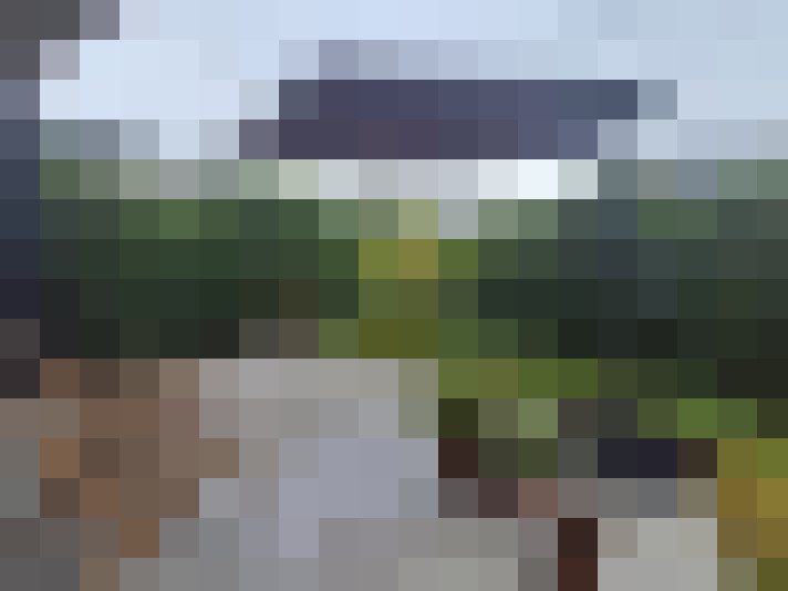  / #7