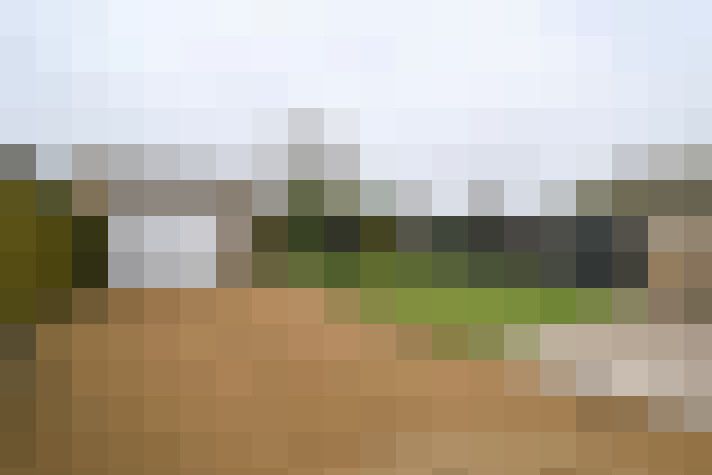 / #13