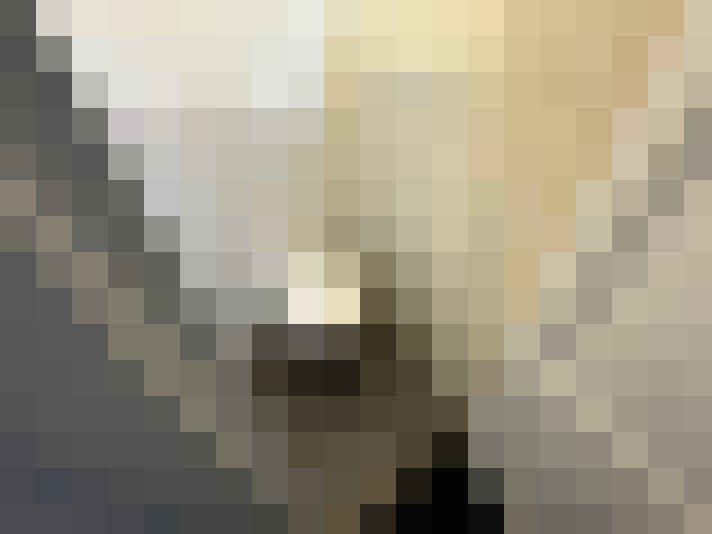  / #13