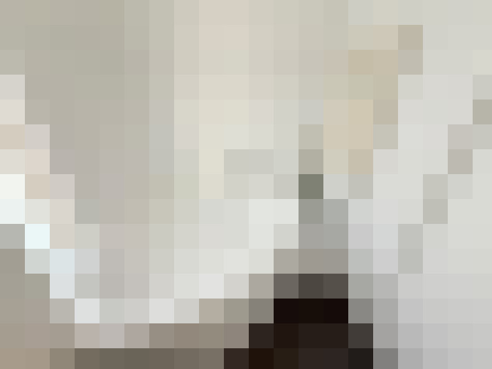  / #17