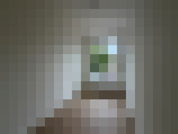  / #24
