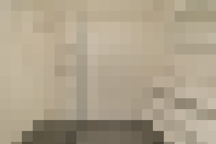  / #19