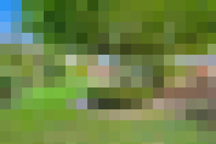  / #24