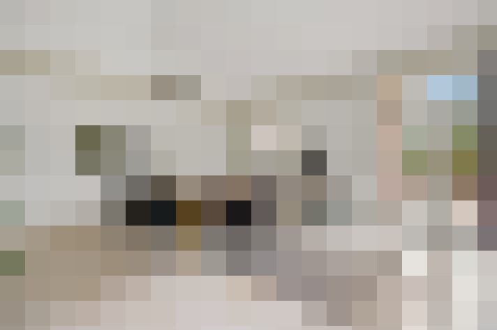  / #19