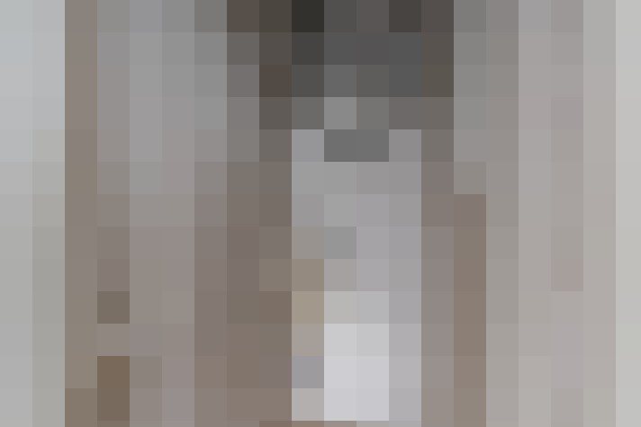  / #17
