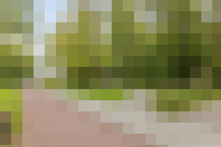  / #20