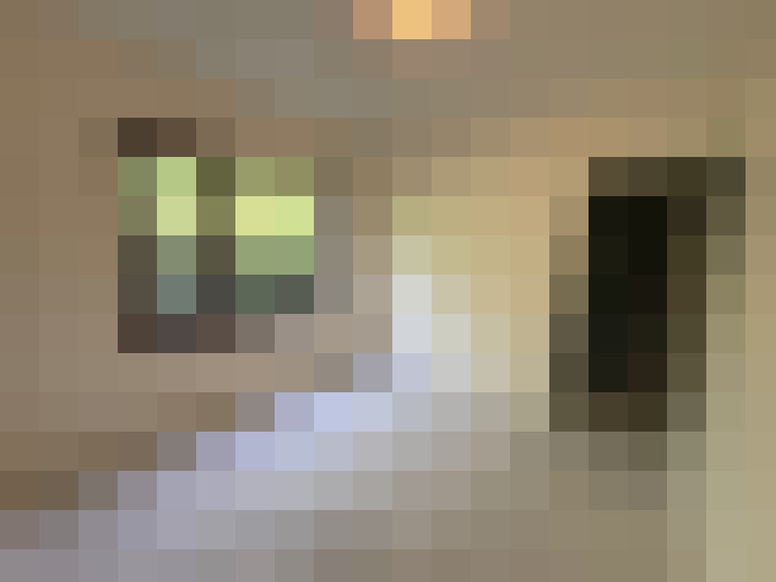  / #14