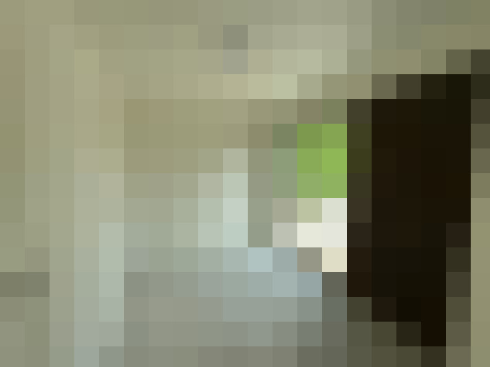  / #8