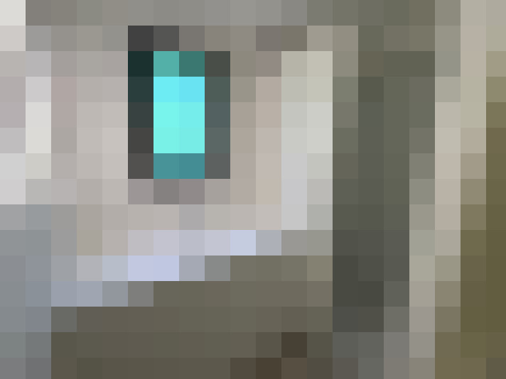  / #17