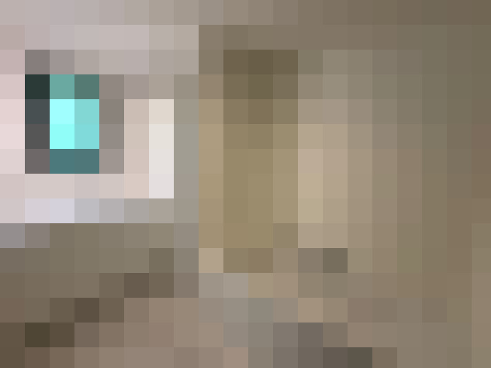  / #15