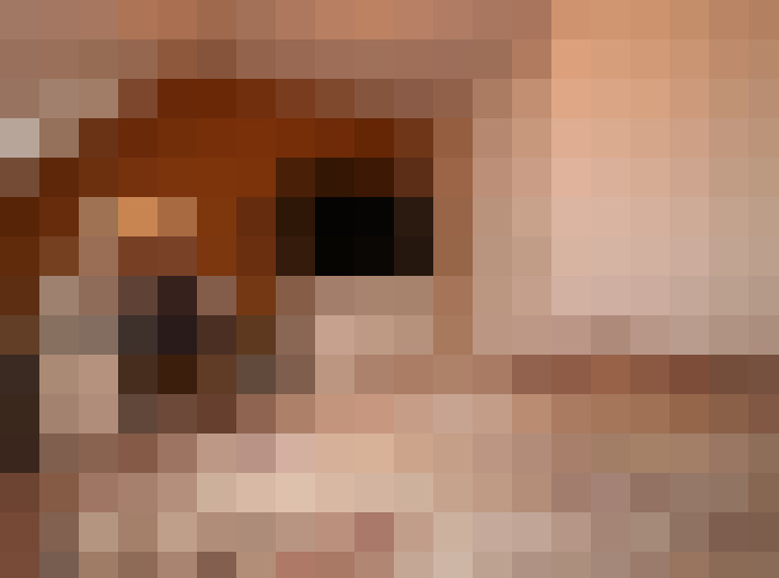  / #23