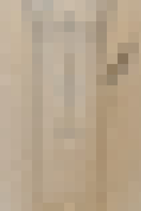  / #18