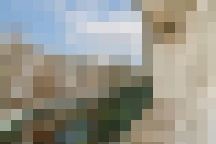  / #16