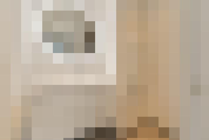  / #17