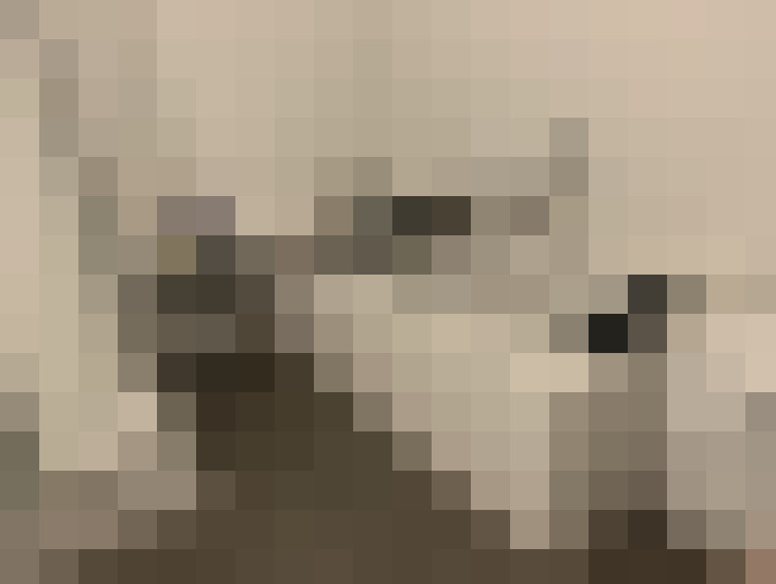  / #14