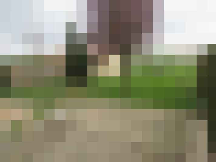  / #16