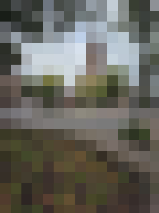  / #15