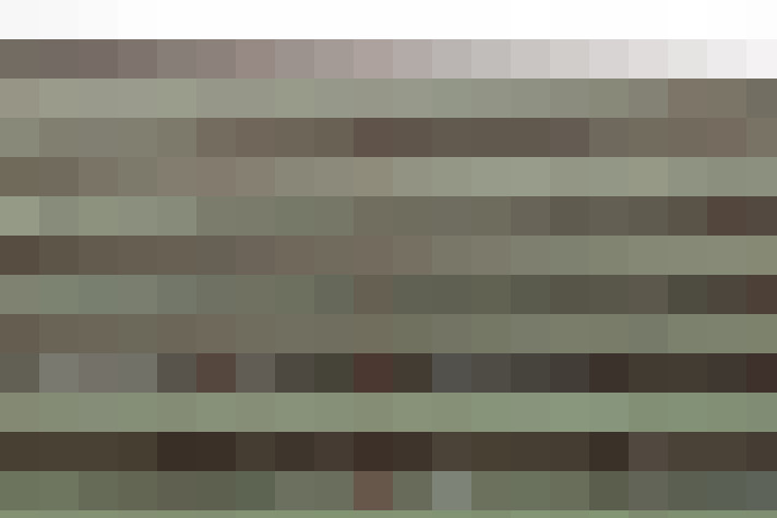  / #4