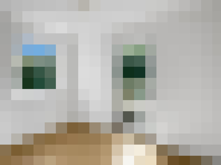  / #12