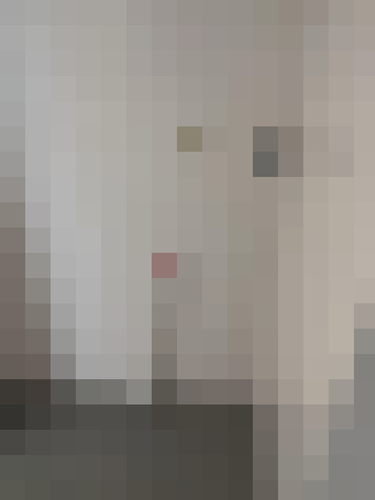  / #18