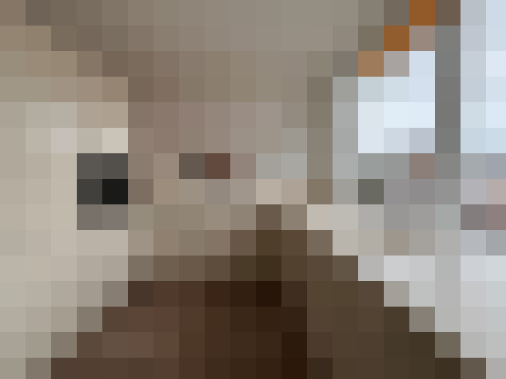  / #7