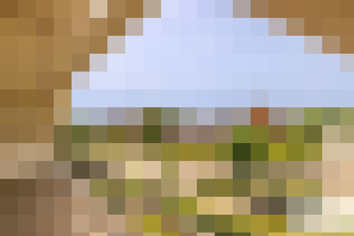  / #20