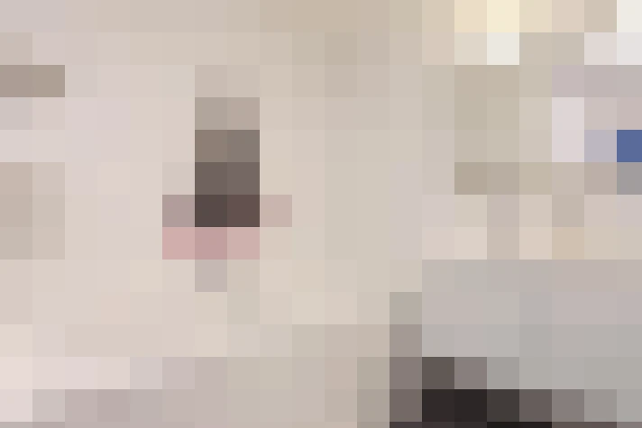  / #20