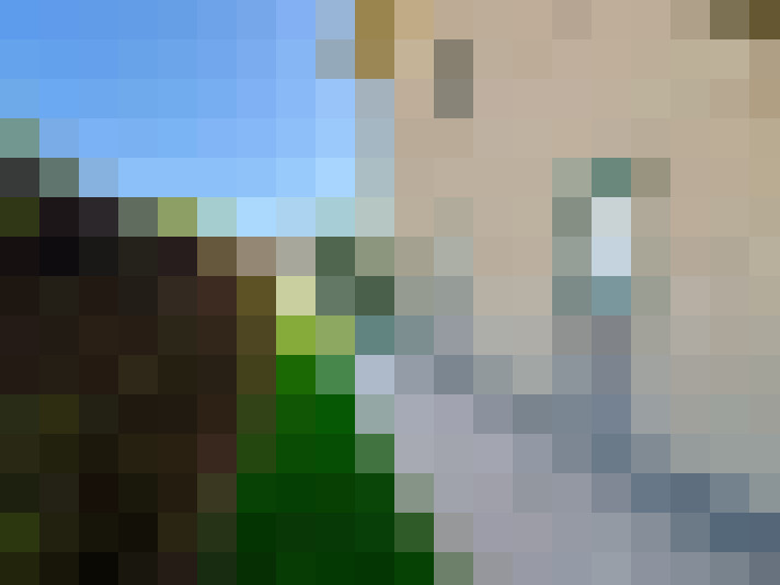  / #6