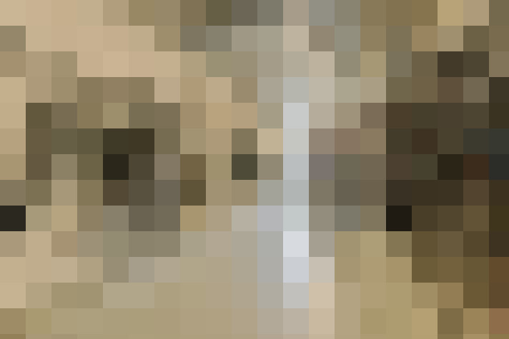  / #11