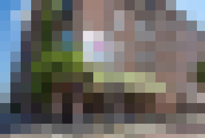  / #20