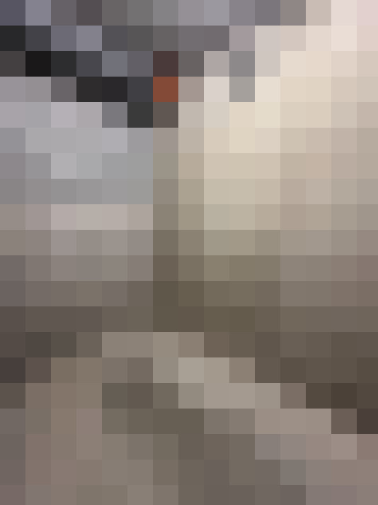  / #15