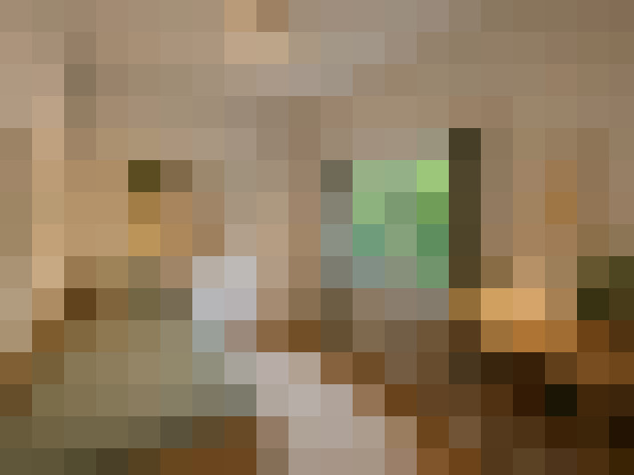  / #17