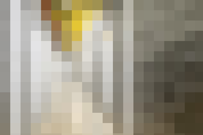  / #18