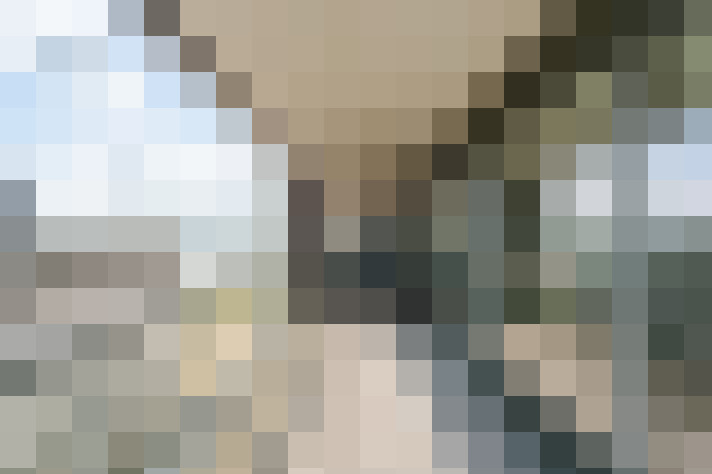  / #21