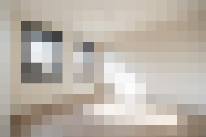  / #16