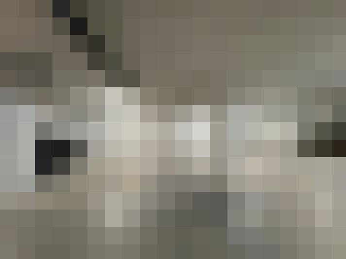  / #19