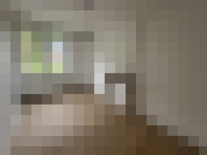  / #8