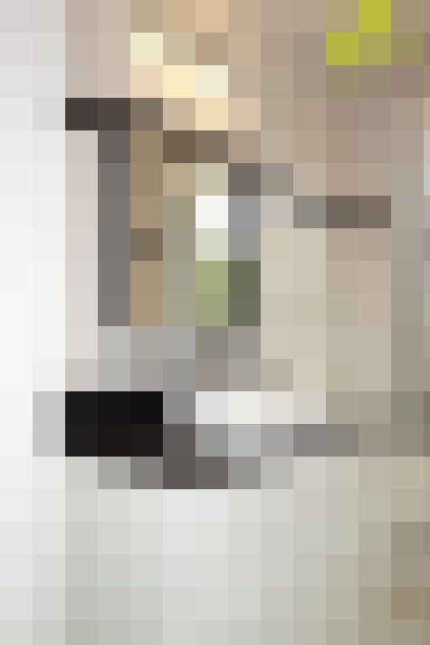  / #12
