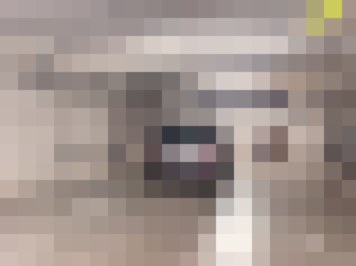  / #11