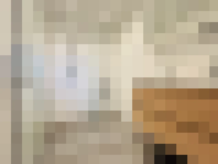  / #21