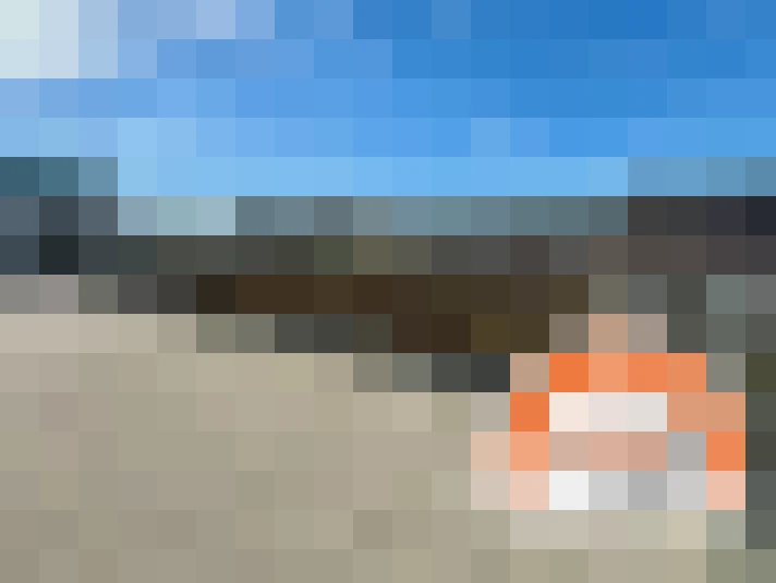  / #8