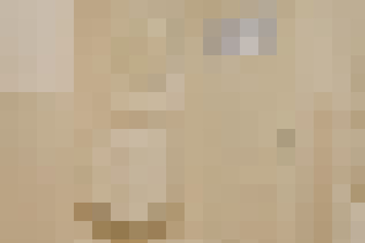  / #22
